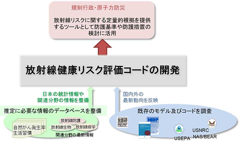 放射線健康リスク評価コード開発の概要の画像