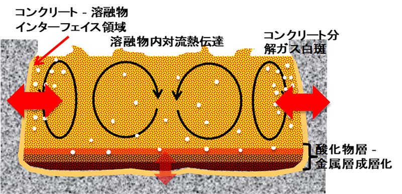 コンクリート侵食(MCCI)解析の画像