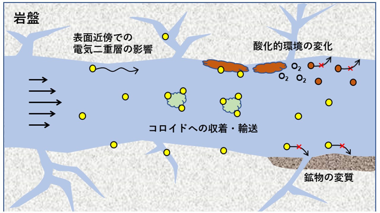 図2　核種移行を促進する可能性のある要素の例