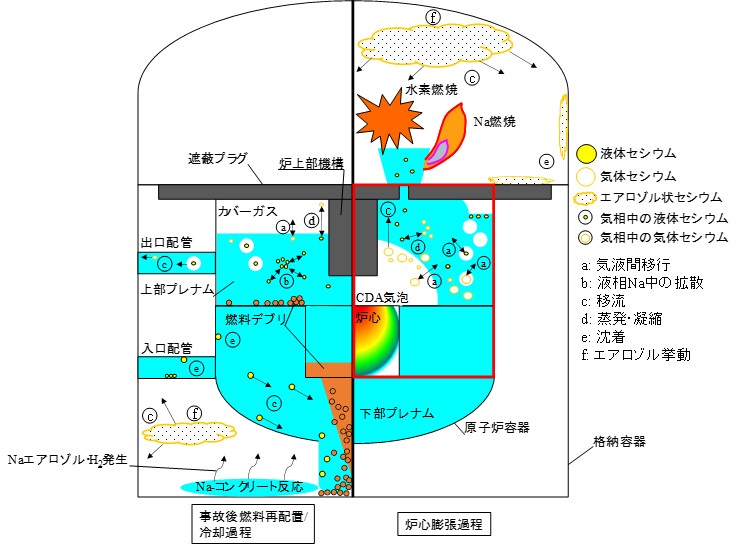 図1　高速炉の事故時における核分裂生成物の移行シナリオ