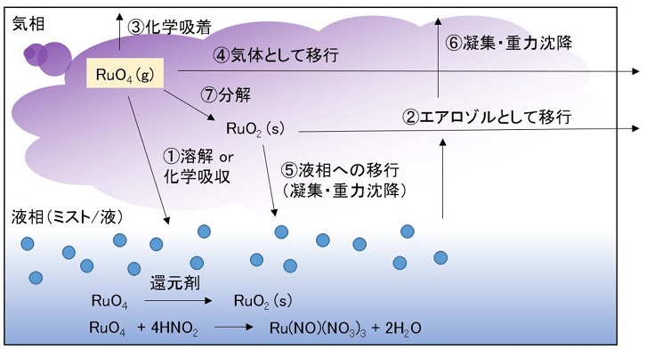 気体状Ruで想定される移行挙動の概念図